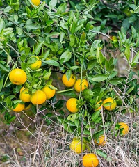 �����ø��һ��ȥ�����ӳ��з�˴��κ��ɣ���ĳ����~