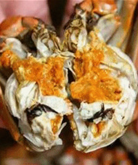 �ϱ��������ӡ������������Ϯ��