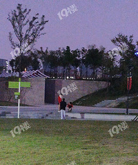 秀湖里那么好的草坪 被莫名添了堆狗屎 主人还若无其事地离开