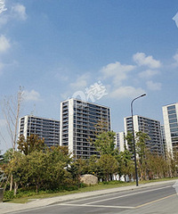 ���˵ض�֮������������ ϣ���ۺ������ս���