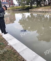 突发!嘉兴某河里惊现浮尸!男女不详 现场围满了人