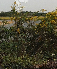 ����·�϶��صķ羰����·�м�����С��