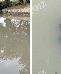 ����ĳ���ﾪ�ָ�ʬ���ֳ�Χ������