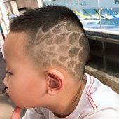 ѧУ����������