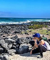 ���δ������߽�𣡴�ҿ���������