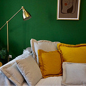 ī��ǽ��������� �߼�