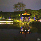 �鲨��԰ҹ����������