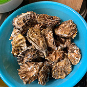 ���������ܴ��