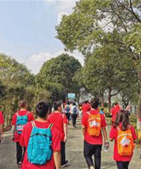 ͽ�����ýŲ������ϱ�������