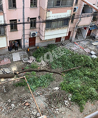 ����ĳ�Ͼ�С������ Խ��Խ��⣡