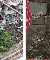 ����ĳ�Ͼ�С������ Խ��Խ��⣡