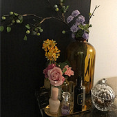 �ٻ�Ҳ���ʺϷ�����