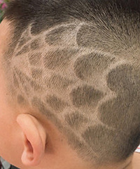 �ⷢ����ѧУ�����������У�