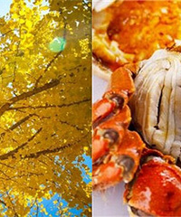 ������У����������� ��բз��ʣ�