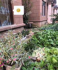 ÿ��ȥ�˾˼Ҷ���������ȥ��ϲ�� ��������������x��û��