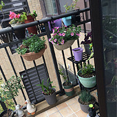 ��̨�͸��������ݲ�