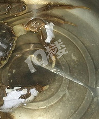 �������·�ϵ�ֻ4������з