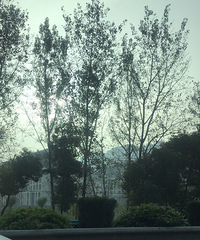 88��С��� �Լ����� ���׷��г� ��Ƹһ���ӵ��ϰ�