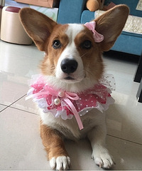 ��С�������˸�Χ�� �����ǽ������Ҳ�ɿɰ���