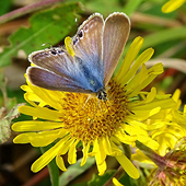 �ռ����� Ҳ����Ȥ��