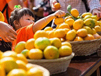 ���Ӻ��ˣ��ϱ������Ӳ�ժȯ�����