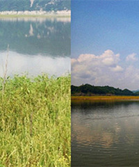 ����С��㲻���ˣ��Լ�1��๫������