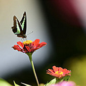 ���վ��鿪ʼæµ��