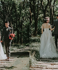 ɭϵ��ɴ�� ̫���� ���뷢��������һ��