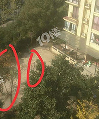 ������ţҵ����Υ�����ⷿ ������������