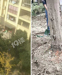 ������ţҵ����˽�����ⷿ������������