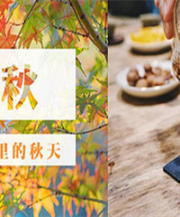 ɹ��������� ���ݲ�������ů�������ﶬ