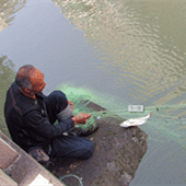 �Ϻ�50�׹�������