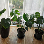 ��ס�¼Һ��С�仯��