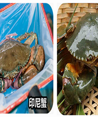 С�ı��� �����ֿ���һ����з �۸����3����