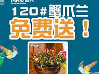 120#зצ������ͣ�