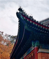 ����ı����Ǻ�ɫ����ɫ�ģ�