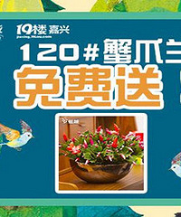 19¥APP������ 120#зצ������ͣ�