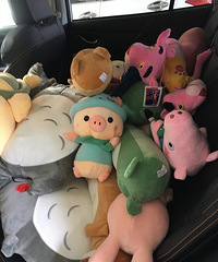 ������ ˫11���ﹺ�ﳵ���������� �����ָг��ã�