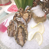 ����11��Ǯ�ñ���