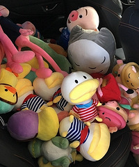 �������� ���쵽�����ָг���