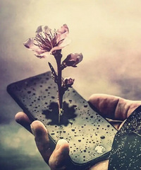 û���������ʵ������ˣ�ֻ�о���ĥ�ϵ�����