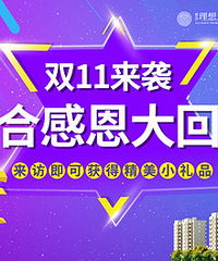 ���Բ��ܴ�����˫ʮһ���ϸж��������