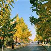 ����·�����ӿ�ʼ����