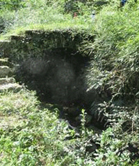 ������ǧ�������������ŵ�