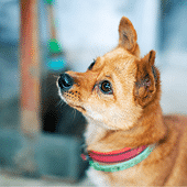 רע������