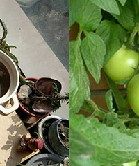 �Է� �ֲ� ���� �����������̨