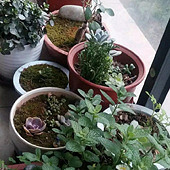 ��̨�Ļ��ݳ���ϲ�ˣ�