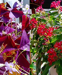 ��̨�л� �Ų���ʱ�⣡