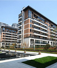 260���ܼ� ѡ�ϵ´�Ժ �����������