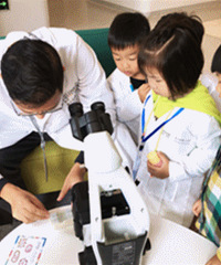 ССҽ�������������������ޱ�����